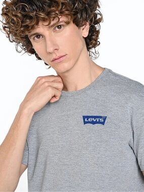Levi's relaxed fit vintage graphic tee